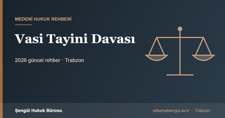 Vasi Tayini Davası - Vasi tayini rehberi